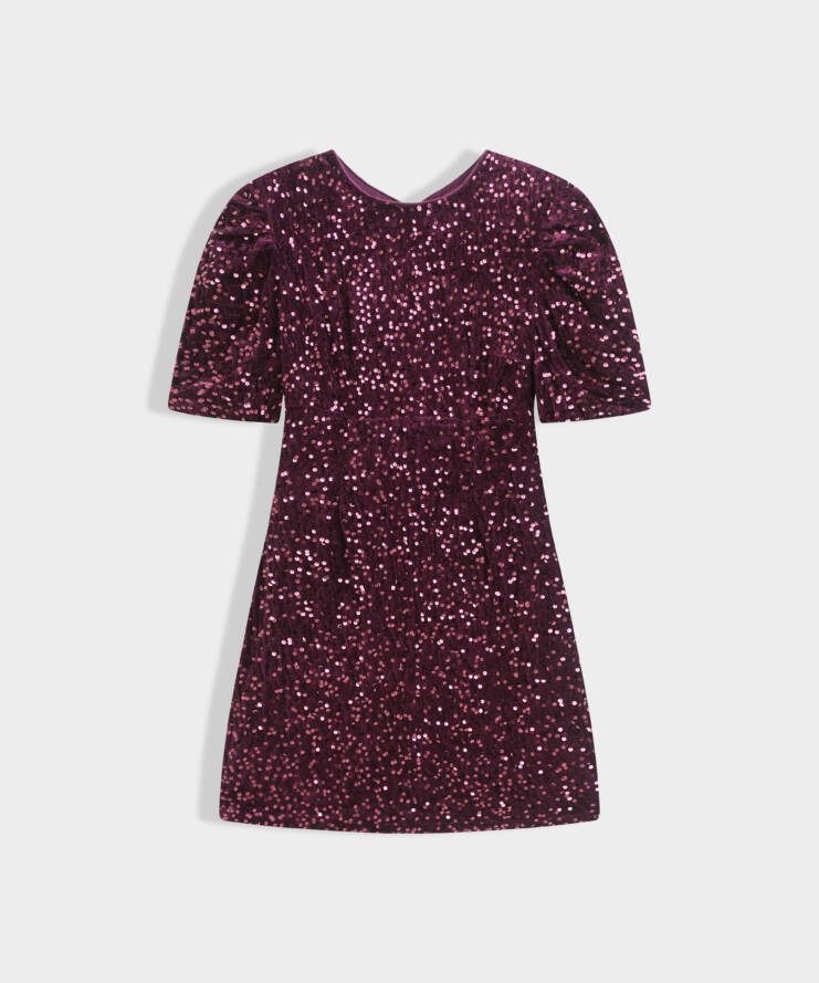 Jurk Isaure Burgundy